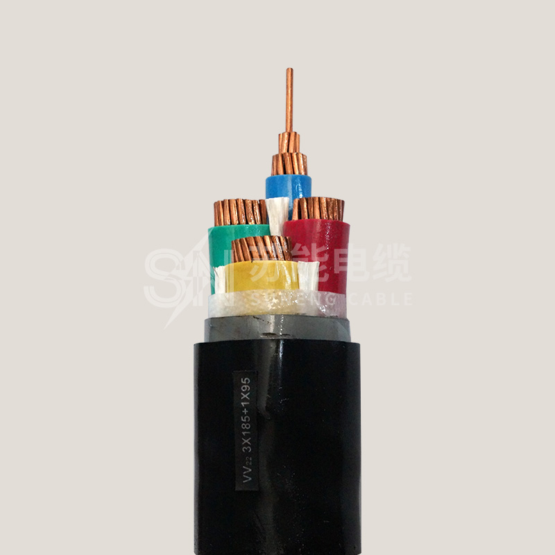 塑料绝缘电力电缆 VV22