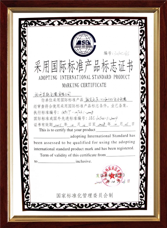 采用国际标准产品标志证书